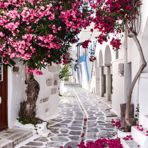 Flower Gallery - Image