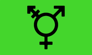 Israeli transgender flag with symbols of Venus and Mars