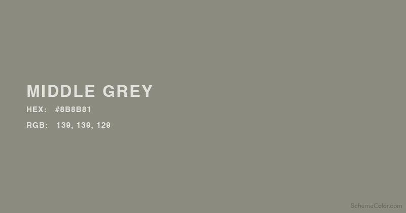 Middle Grey color - Hex: #8B8B81