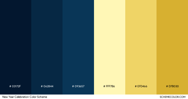 New Year Celebration color scheme