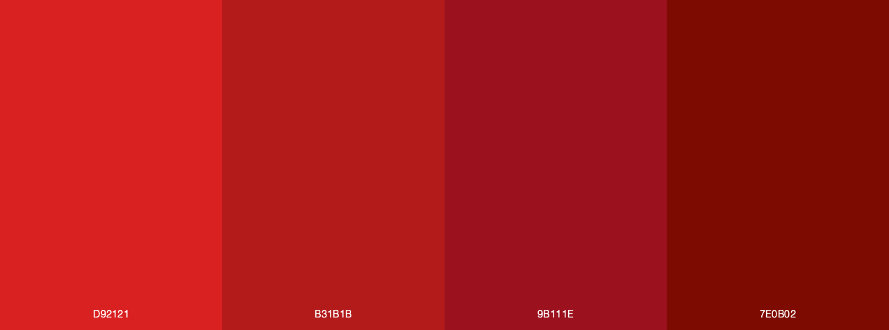 Red Leather Bag Monochromatic color palette