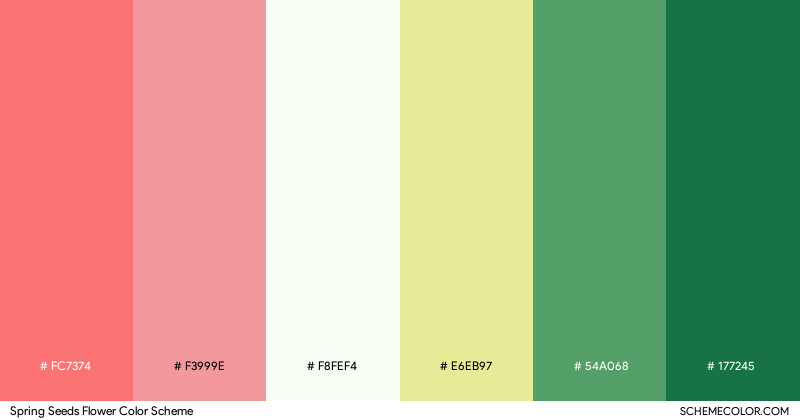 Spring Seeds Flower color scheme