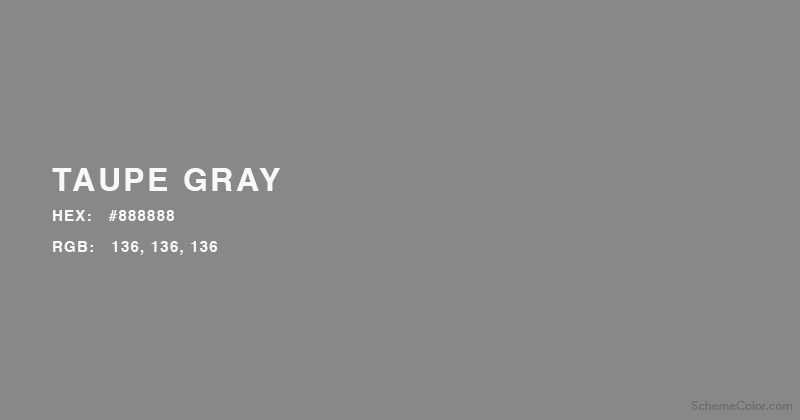 Taupe Gray color - Hex: #888888