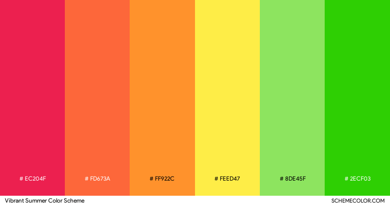 Vibrant Summer color scheme