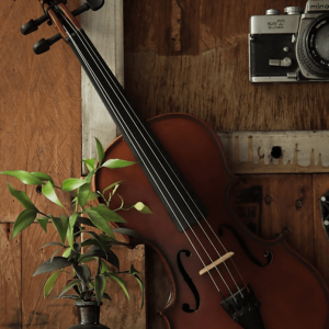 Vintage Violin - Image