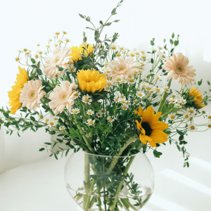 Yellow and White Sun Flower - Image