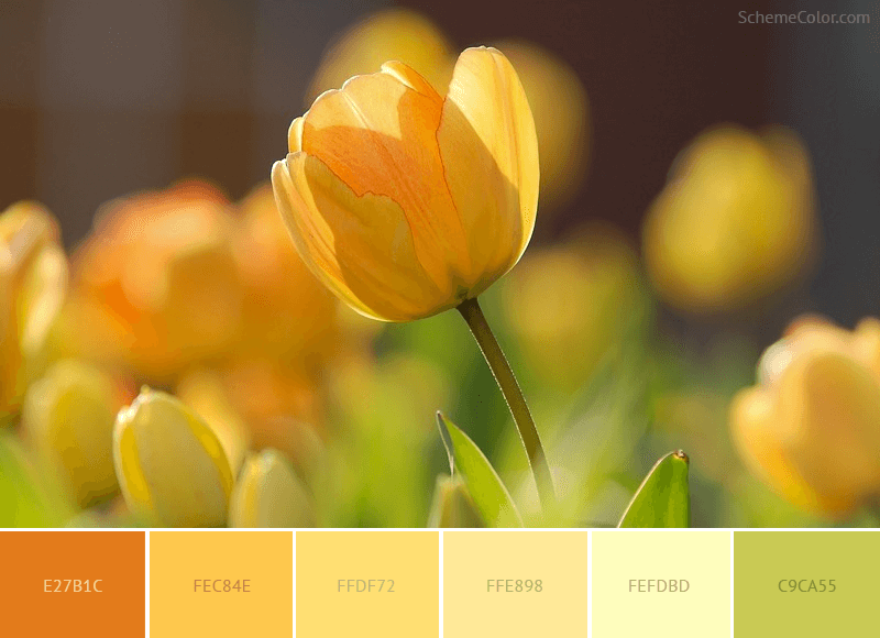Yellow Spring - Color scheme with color codes